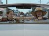 Pictures_of_Hollis_Woods__DVD_Screencaps_BJ_00237.jpg