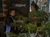 Pictures_of_Hollis_Woods__DVD_Screencaps_BJ_01119.jpg